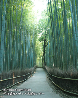 Bamboo Grove Road ©京都市メディア支援センター