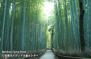 Bamboo Grove Road ©京都市メディア支援センター