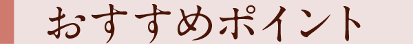 おすすめポイント